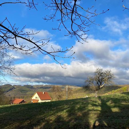 Nature Homestay Trenčín Kültér fotó