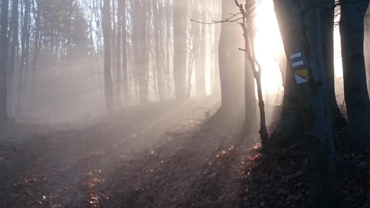 Nature Homestay Trenčín Kültér fotó