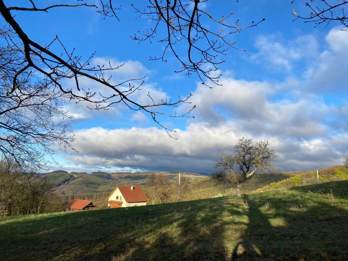 Nature Homestay Trenčín Kültér fotó