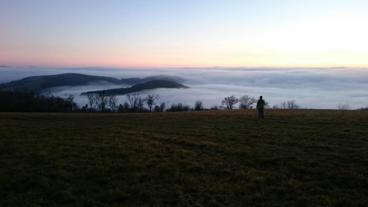 Nature Homestay Trenčín Kültér fotó
