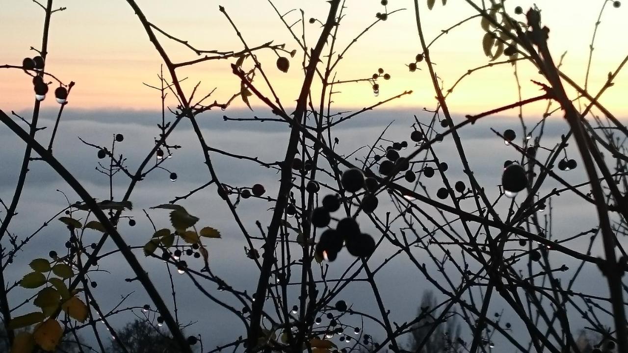 Nature Homestay Trenčín Kültér fotó