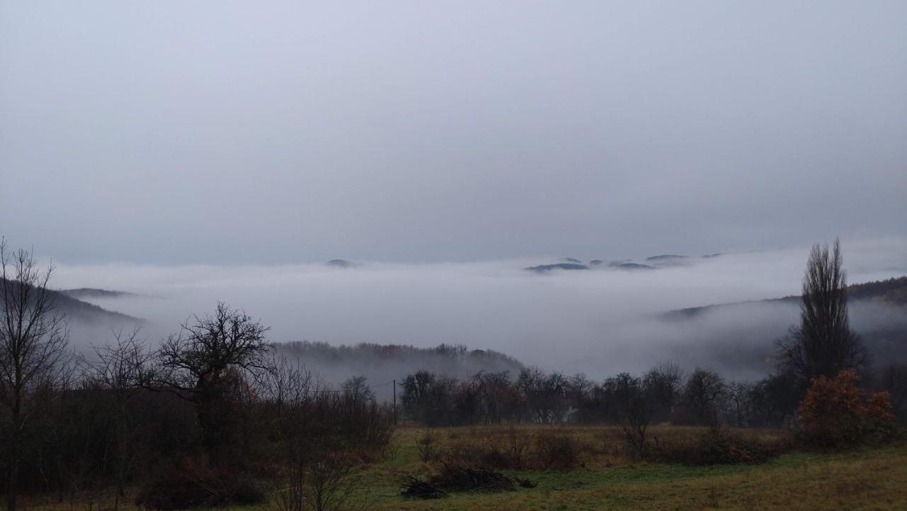 Nature Homestay Trenčín Kültér fotó